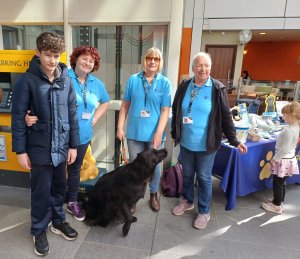 Guide Dogs raise an incredible amount at Every Cuppa Counts!
